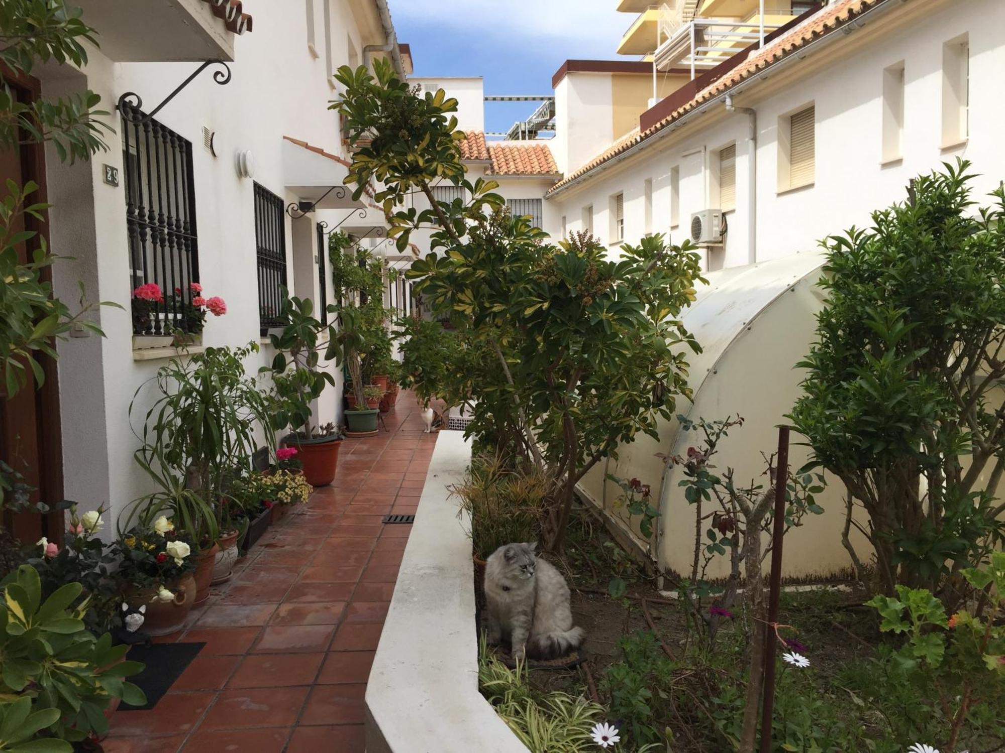 El Cortijuelo. Magnificent Triplex Terraced House With Rooftop Of 18M2, Overlooking The Sea. Parking Torremolinos Bagian luar foto